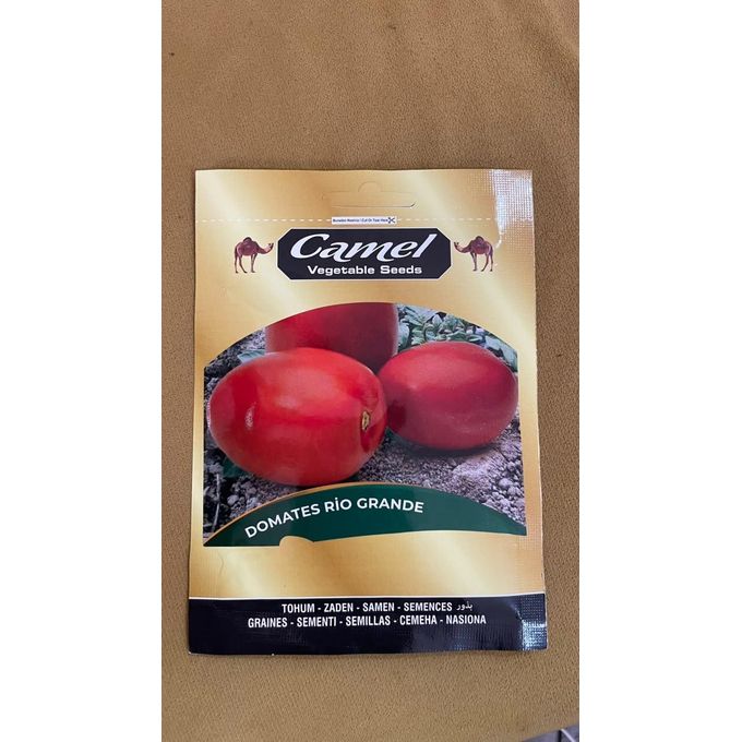 TOMATE